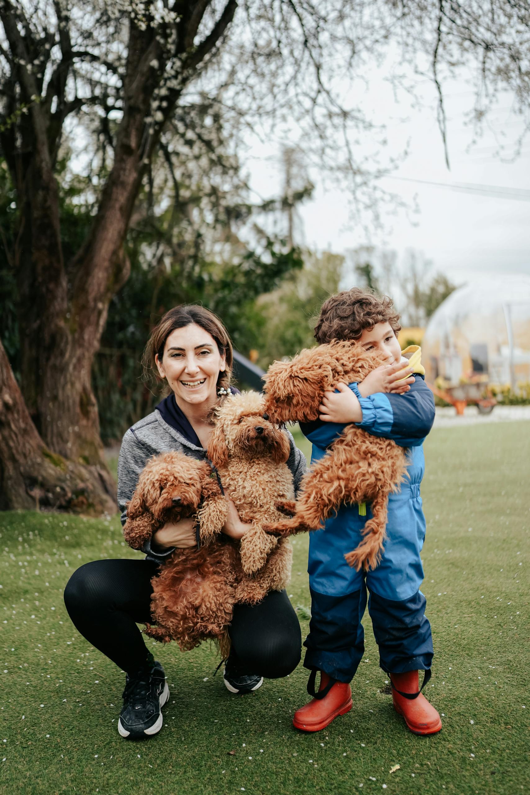 Poodle Gurru, Mother and child play with poodles in a lush park setting. Joyful outdoor family moment.