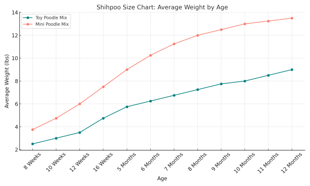 Complete Shih-Poo Puppy Guide for 2025 Owners