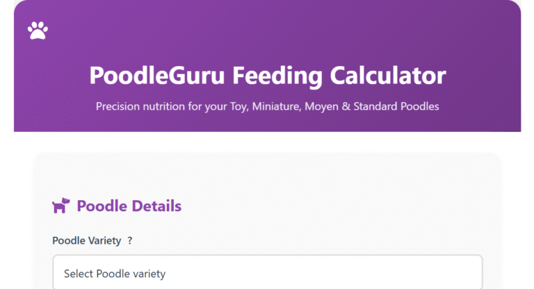 Poodle Feeding Calculator with Schedule & Best Diet Guide