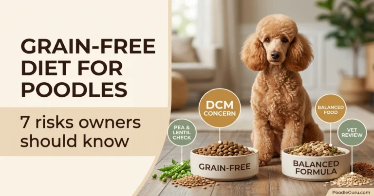 Grain-Free Diet for Poodles