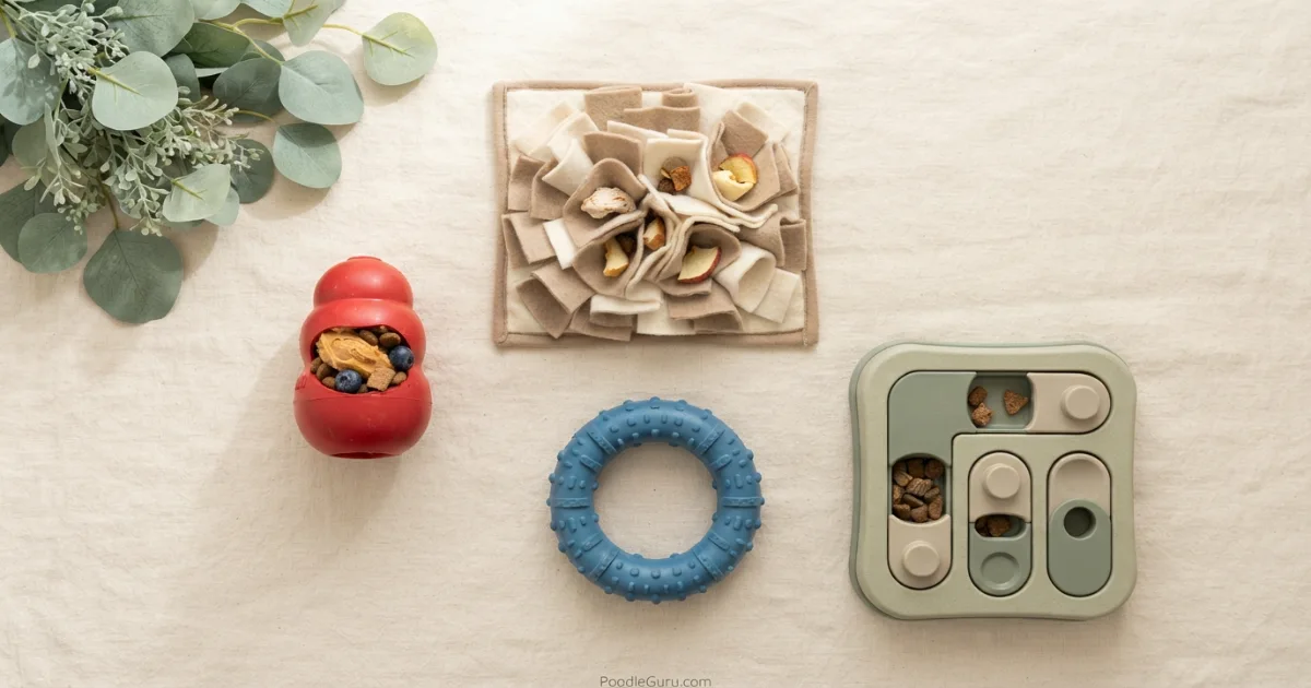 Collection of poodle-safe chew toys and enrichment tools including Kong, snuffle mat, and puzzle toy
