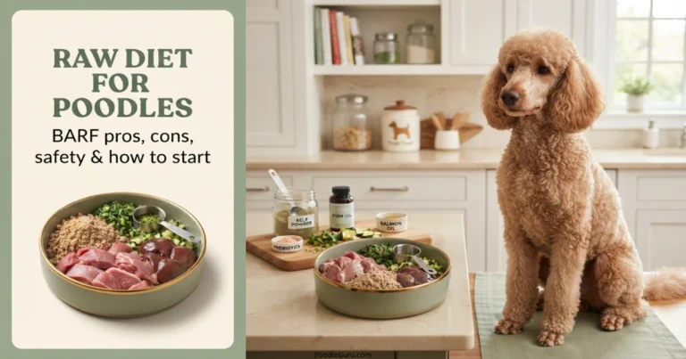 raw diet for poodles